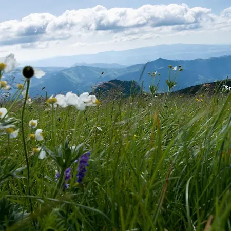 Ski Lake Cottage Krpacovo 샬레 크르파초보