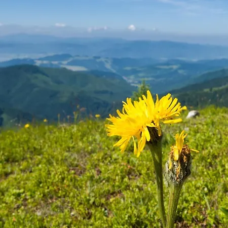 Ski Lake Cottage Krpacovo