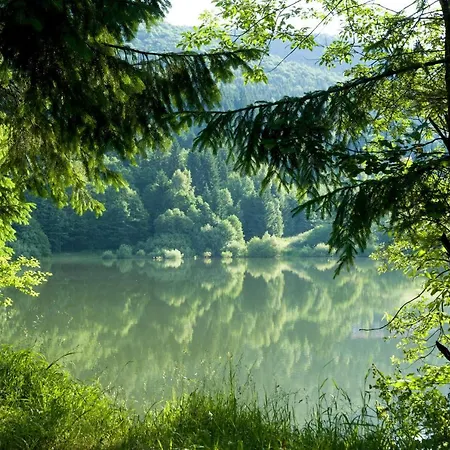 Ski Lake Cottage Krpacovo Dağ evi *