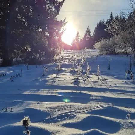 Ski Lake Cottage Krpacovo Dağ evi
