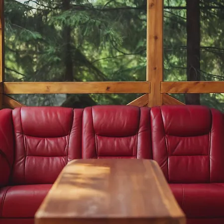 Ski Lake Cottage Krpacovo Chalet *